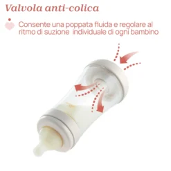 Biberon Perfect 5 Flusso Rapido (300 ml)