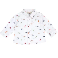 Camicia manica lunga fantasia
