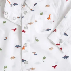 Camicia manica lunga fantasia