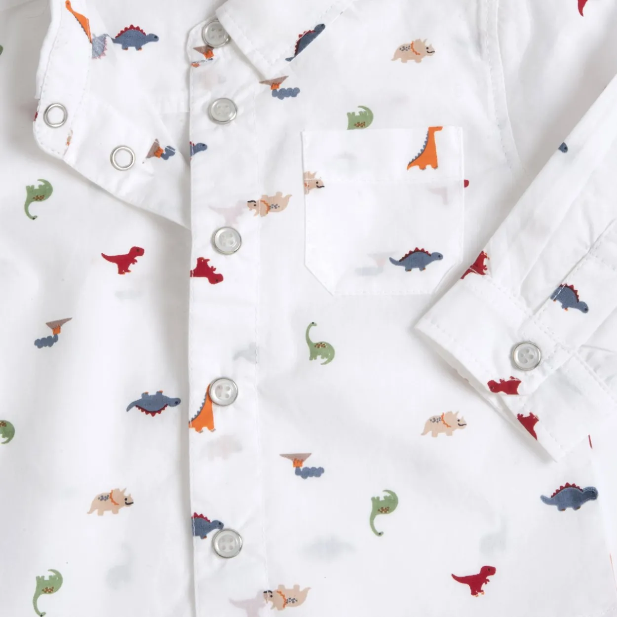 Camicia manica lunga fantasia