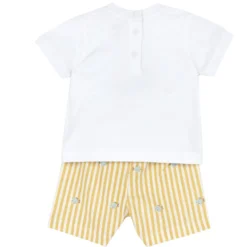 Completo maglietta manica corta con pantaloni corti