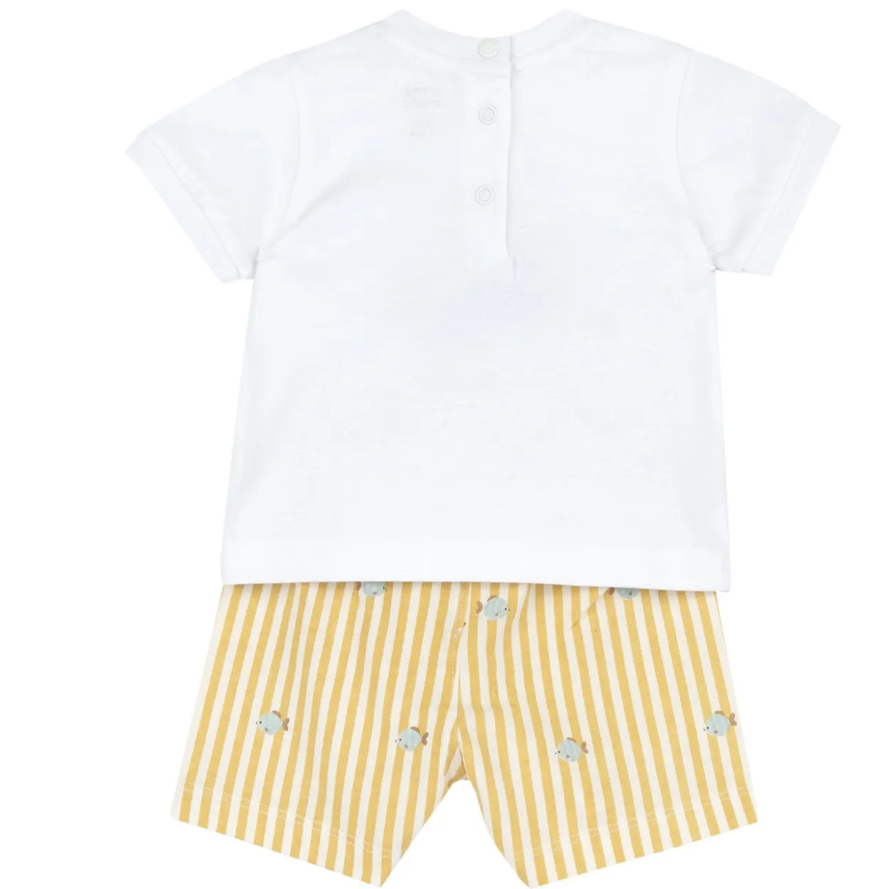 Completo maglietta manica corta con pantaloni corti