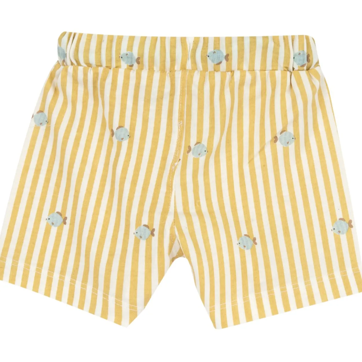 Completo maglietta manica corta con pantaloni corti