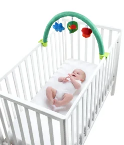 Palestrina Attività 3in1
