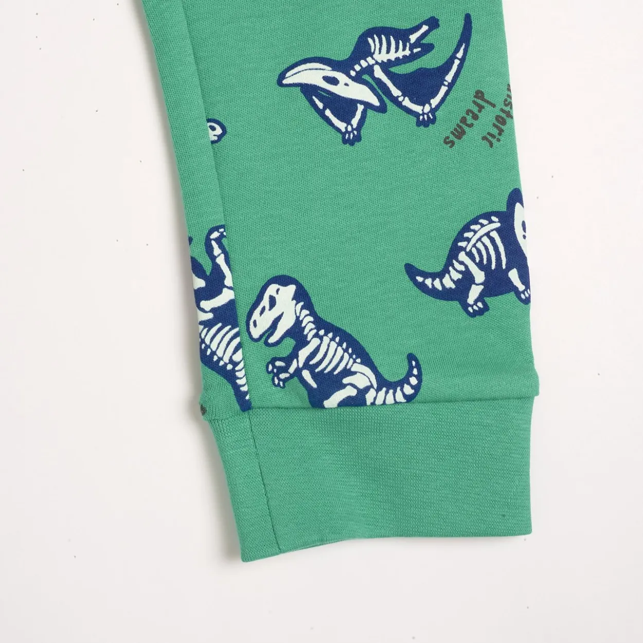 Pantaloni pigiama fantasia dinosauri