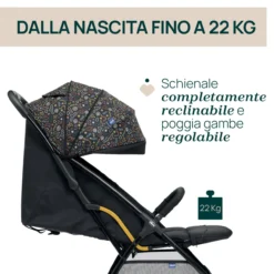 Passeggino Glee