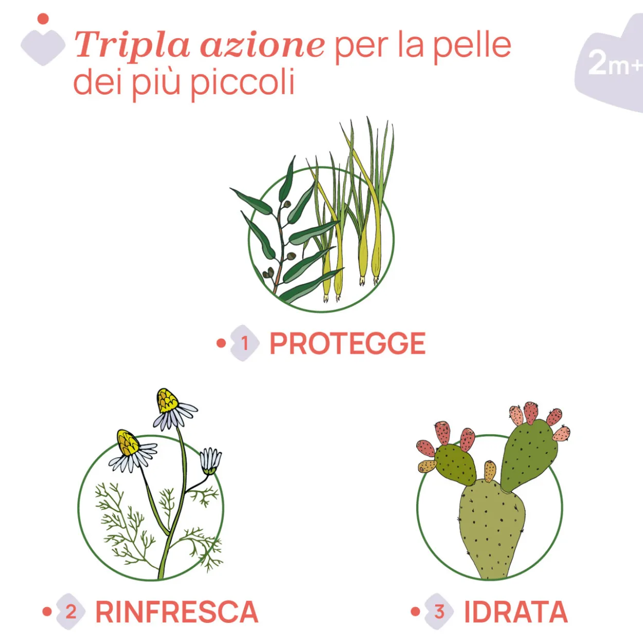 Salviettine NaturalZ Protettive & Rinfrescanti