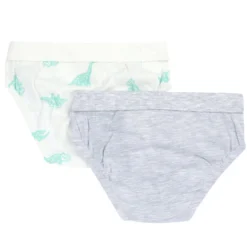 Set intimo slip Dinosauro