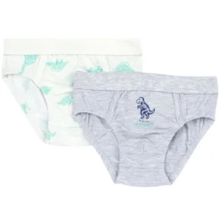 Set intimo slip Dinosauro