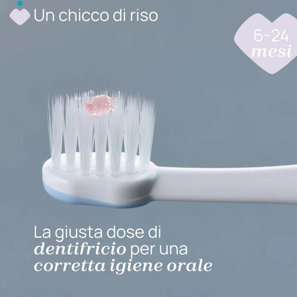 Spazzolino primi denti 6-36M