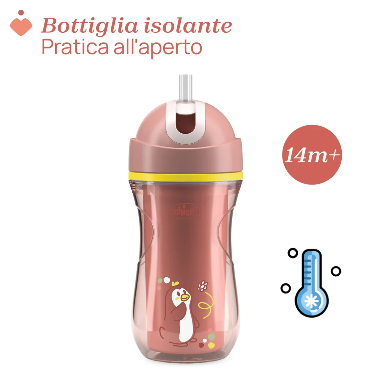 Tazza Sport 14M+