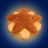You&Me Star
